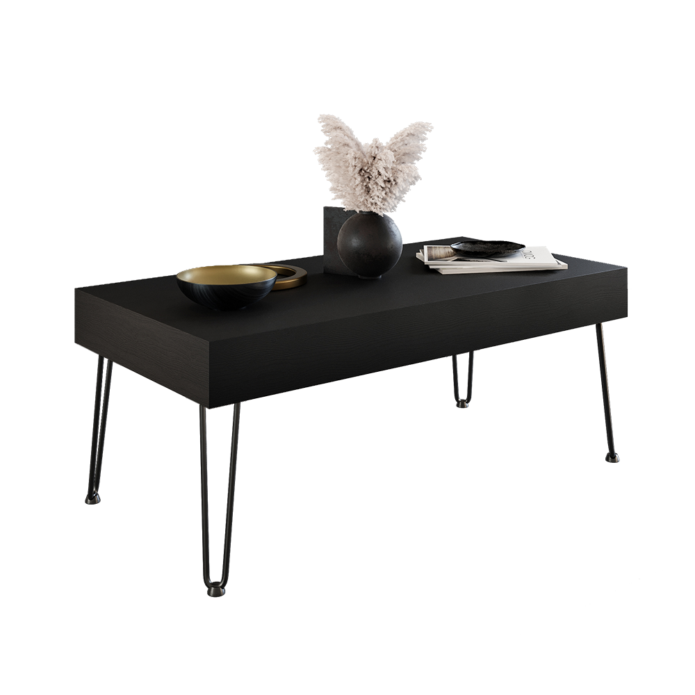 Mid Century Modern Coffee Table