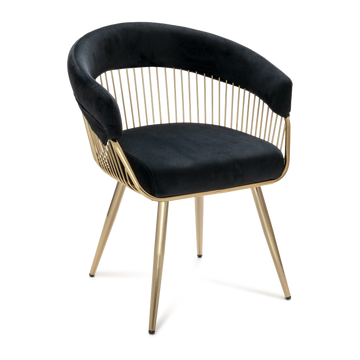 Wire Frame Dining Chair